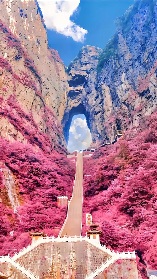 张家界的景点有哪些