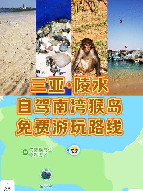 三亚猴子岛好玩吗,三亚的猴岛值得去吗