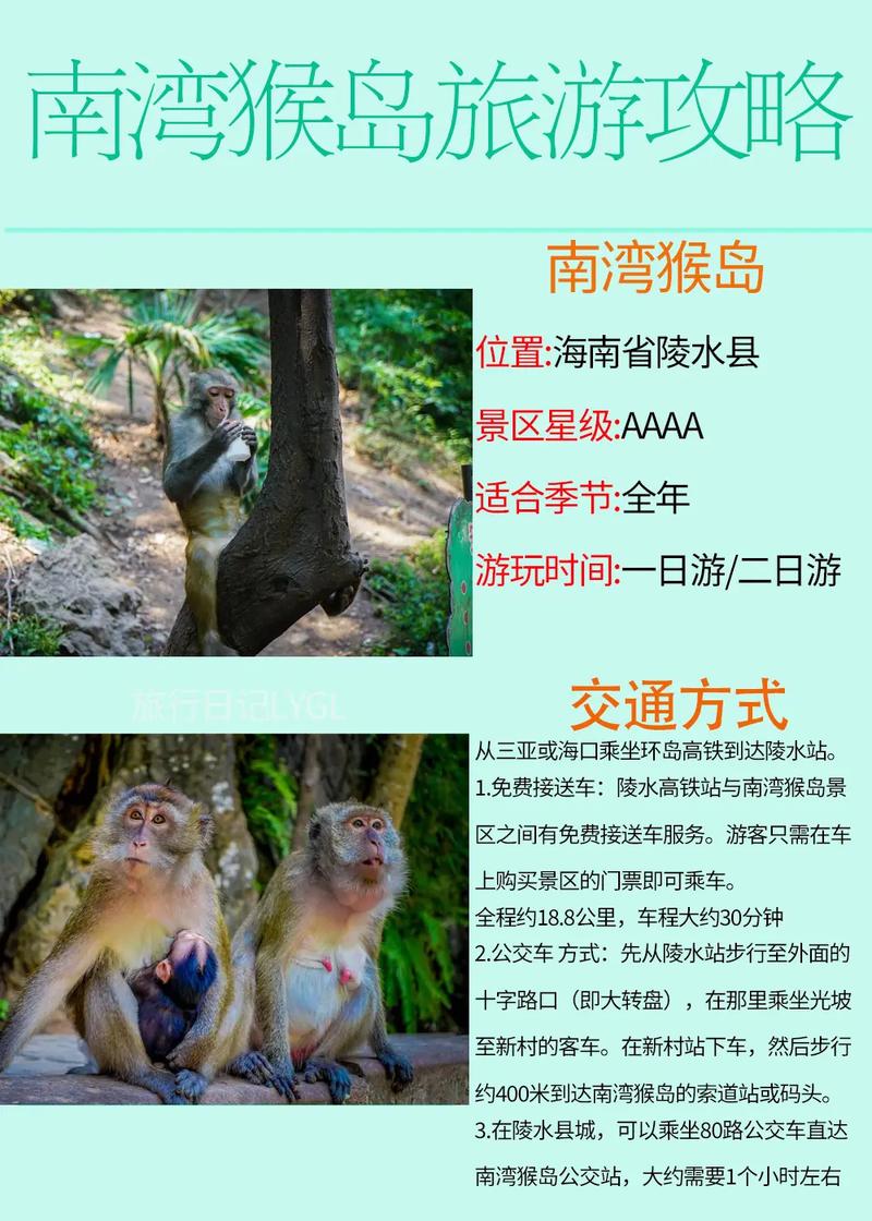 三亚猴岛有什么好玩儿的?自己去玩多少钱