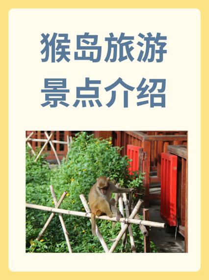 南湾猴岛好玩吗?门票是多少