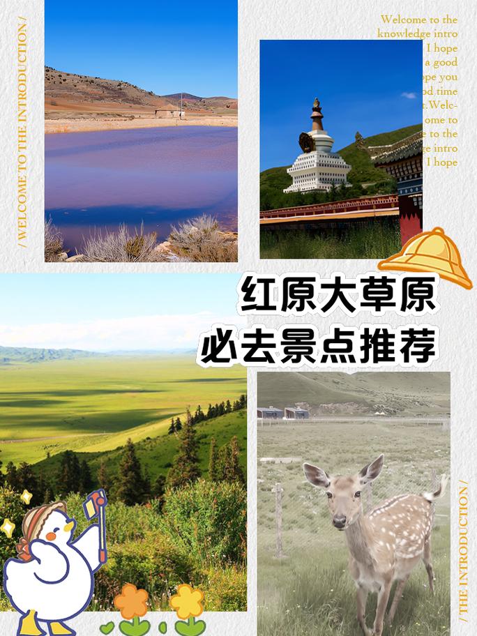 红原大草原自驾游攻略,红原大草原自驾游攻略有多少公里