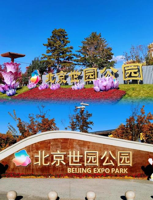 去北京世园公园参观打卡的攻略是什么?