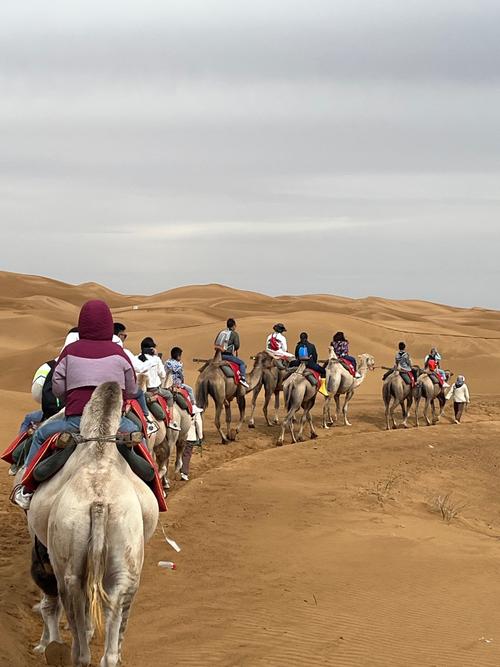 沙坡头旅游攻略