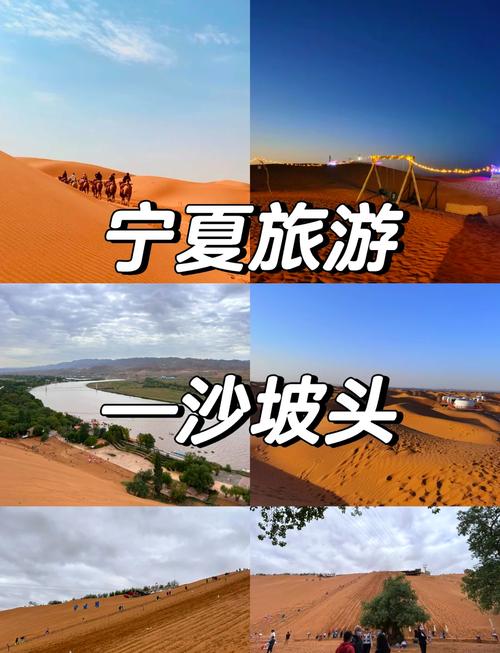 沙坡头在哪个城市