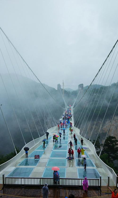 张家界有几个玻璃桥和栈道,张家界的玻璃桥叫什么名字