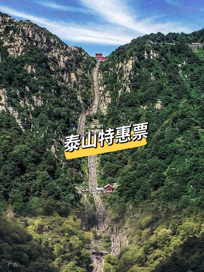 爬泰山大概需要多少钱