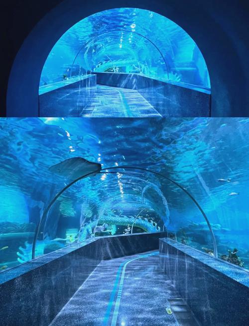 鼓浪屿收门票吗