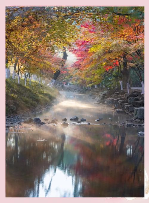 杭州九溪烟树的哪些景点值得游客打卡?