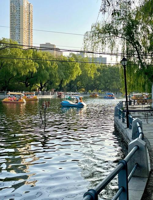 沈阳南湖公园有什么好玩的