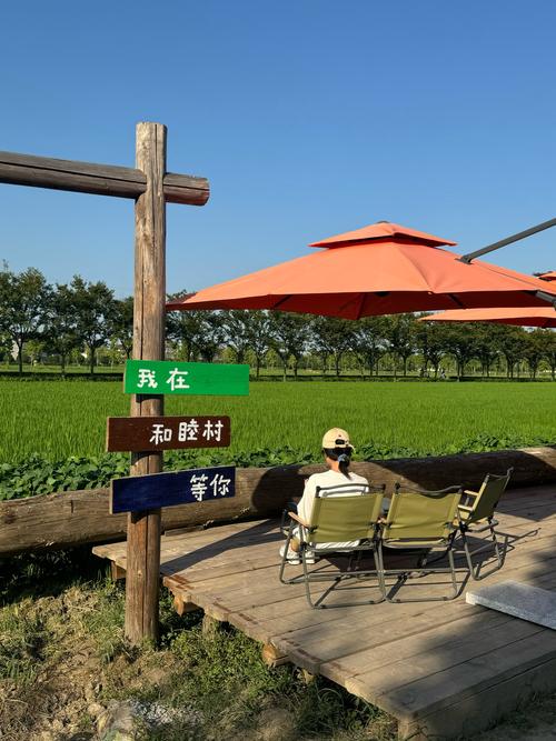 ...6个上海周边亲子自驾游好去处推荐,来上海一定要玩的农家乐