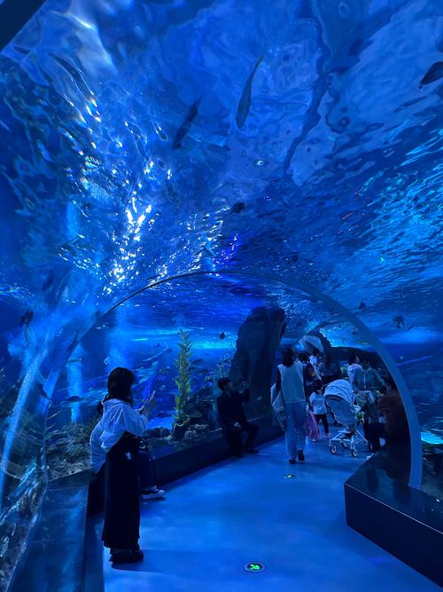 温州极地海洋世界在哪个位置