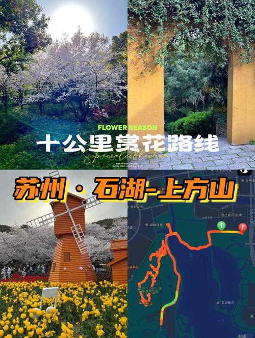2025苏州上方山国家森林公园开放时间