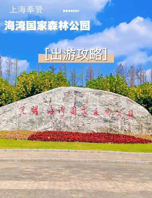 奉贤海湾国家森林公园门票