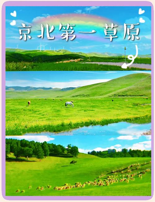 承德坝上草原有什么旅游景点??