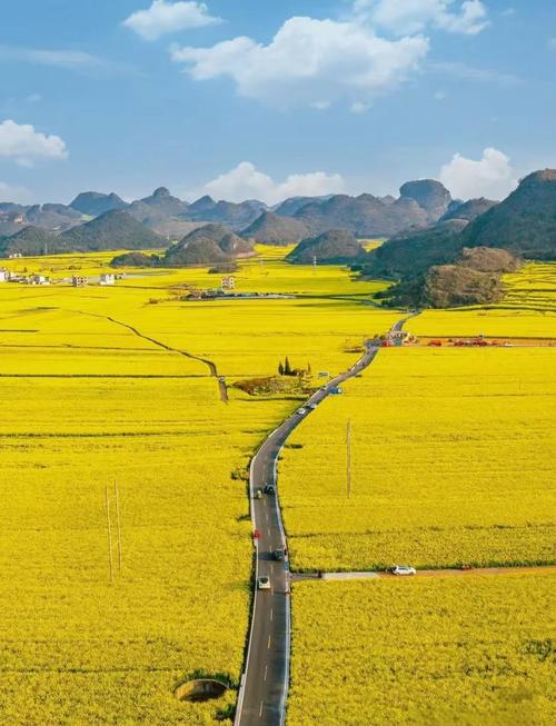 罗平旅游最佳时间,罗平旅游攻略必去景点