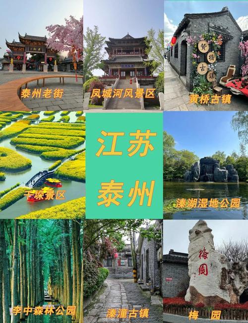 泰州一日游最佳路线推荐