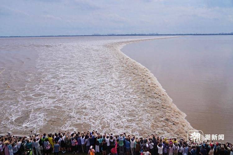 钱塘江观潮最佳时间全解析:从季节到具体时刻,一览无余