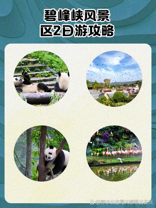 成都到碧峰峡旅游攻略一日游,成都到碧峰峡一日游怎样安排