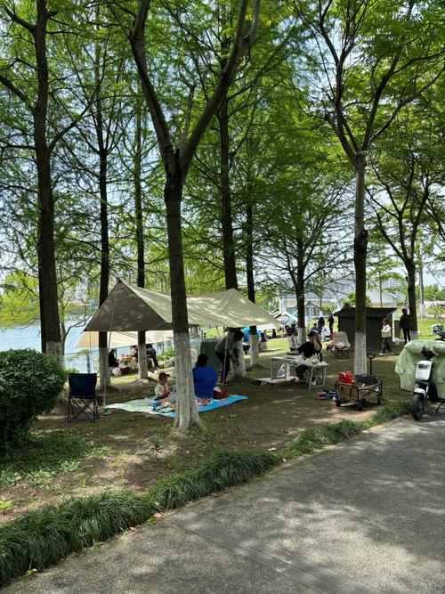 上海郊区有哪些夏季自驾游的好去处?