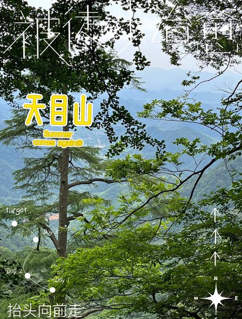 临安西天目山天气预报,临安西天目山门票
