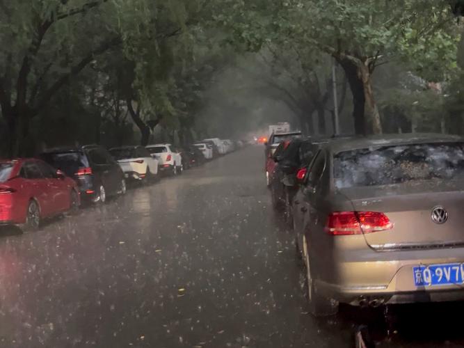 朝阳区大风情况