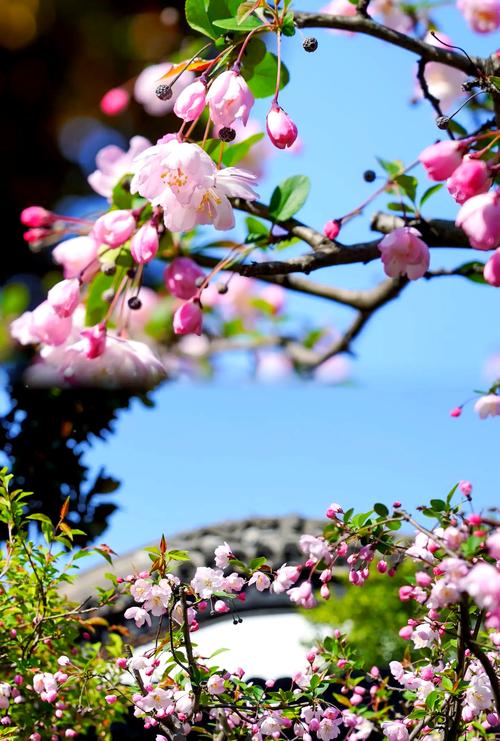 春天南京旅游攻略景点必去