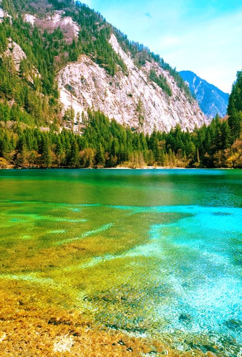 九寨沟在哪个省?