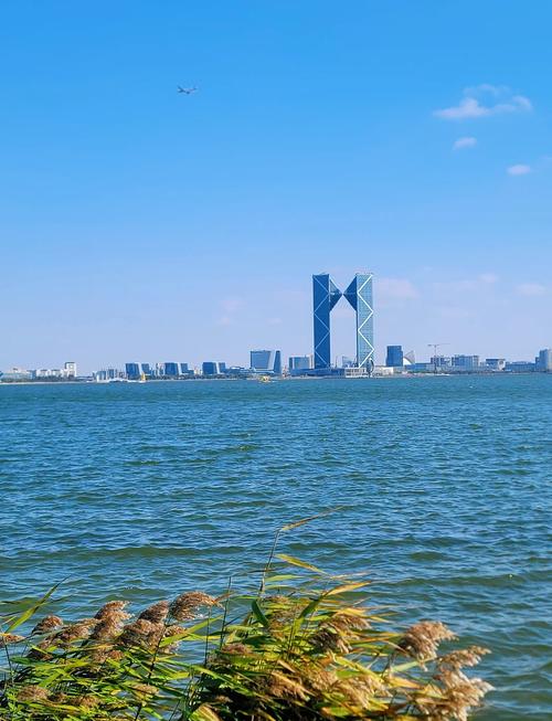 上海临港属于哪个区?