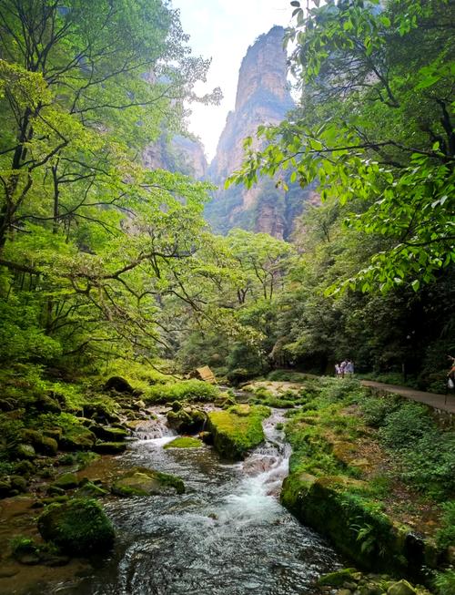 张家界风景区金鞭溪