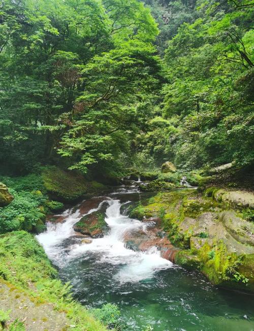 武陵源风景名胜区-金鞭溪骆驼峰地址在哪里?