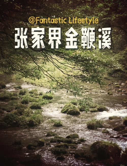 金鞭溪的景点介绍