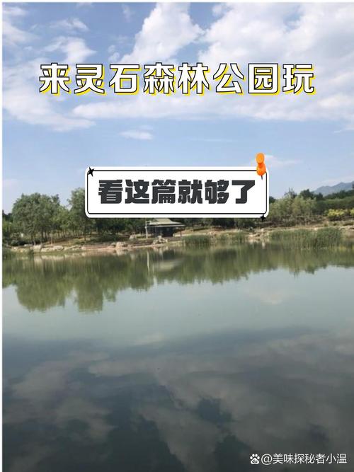 有什么去灵石森林公园的游玩指南分享?