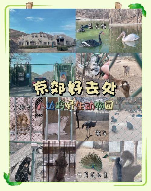 2024八达岭野生动物世界游玩攻略