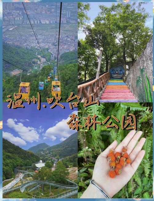 有哪些去温州吹台山森林公园旅行的路线分享?