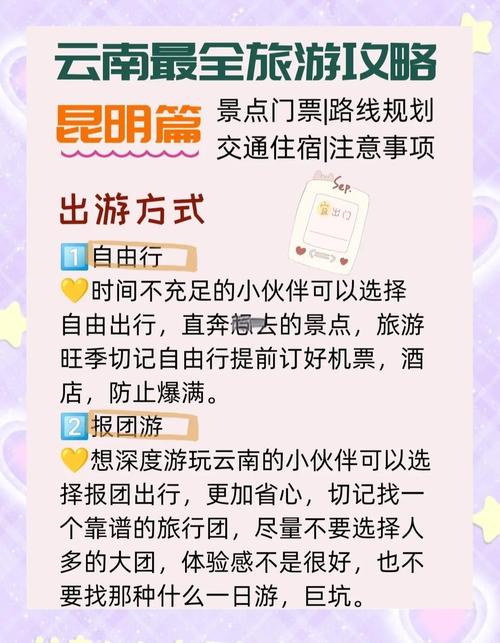 西双版纳旅游多少钱,全面了解云南风情,畅游西双版纳旅游必备攻略