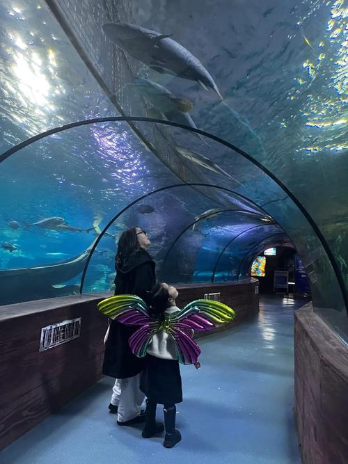 武汉东湖海洋世界在哪里?附停车攻略