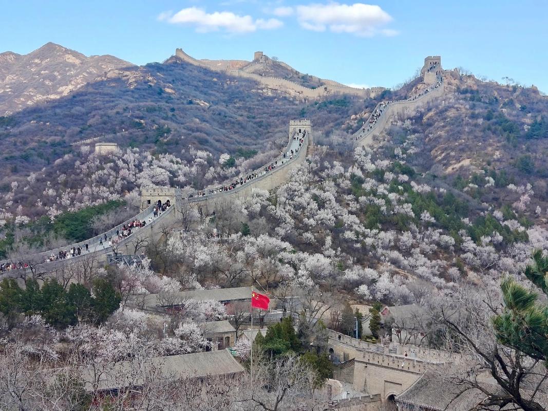 八达岭长城2021杏花何时开——观看攻略及最佳打卡地点