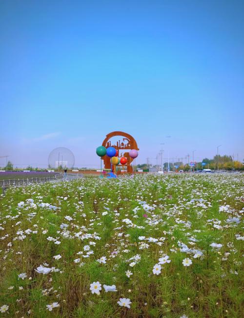 沈阳免费花海在哪里