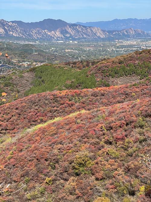 2021北京门头沟赏红叶的最佳去处