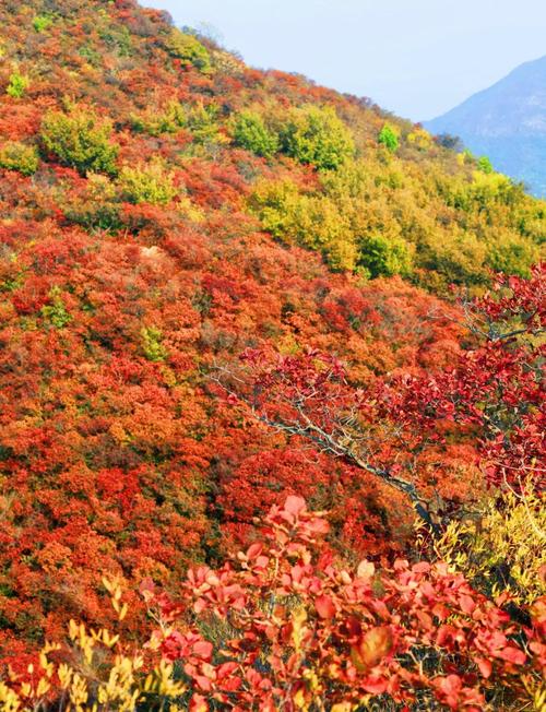 北京夏天去哪里旅游好玩又凉快