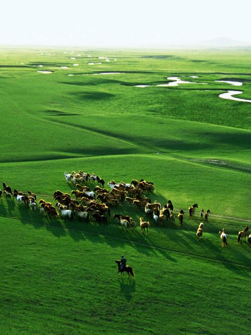 锡林郭勒大草原旅游攻略