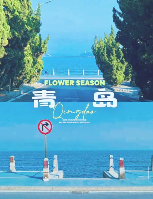 青岛三日游攻略自助游