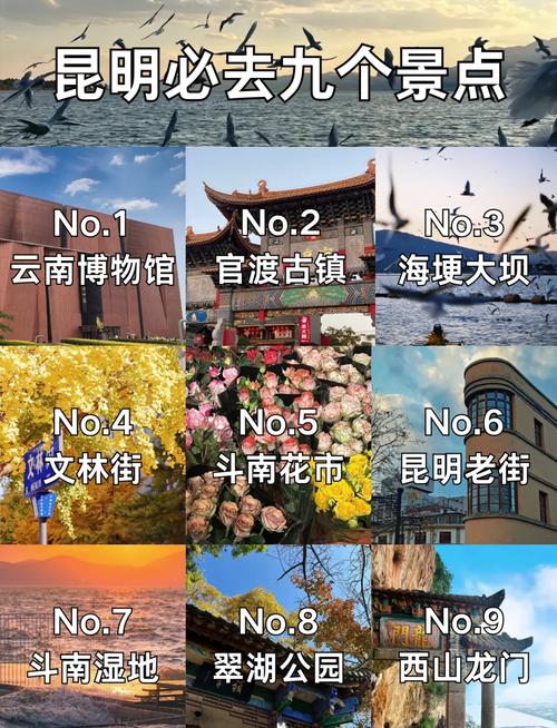 昆明市旅游必去的景点推荐(昆明必玩的景点推荐)