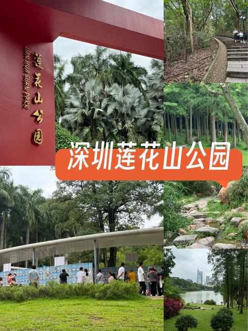 深圳莲花山公园景点介绍