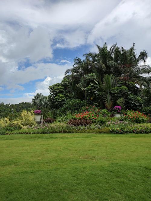 深圳莲花山风景区攻略,深圳莲花山公园著名景点