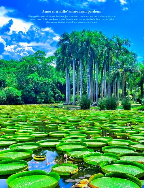 西双版纳有哪些旅游景点