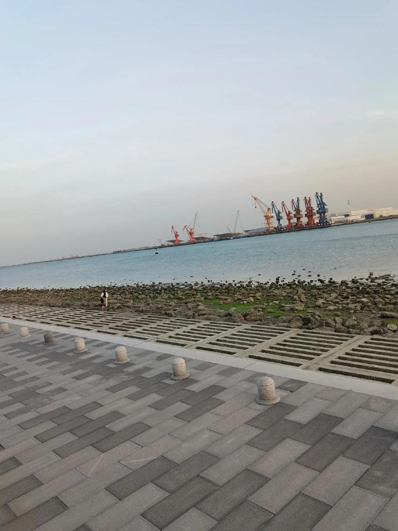 夏天去临港海岸线公园旅游,需要注意什么?