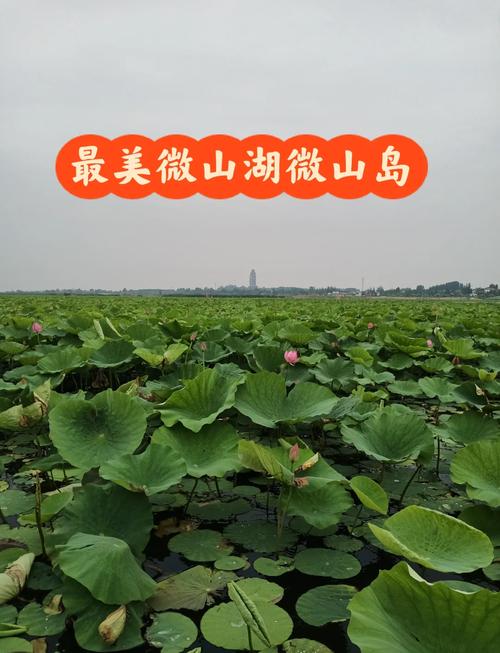 暑假从徐州到微山湖自驾游大概路线行程?