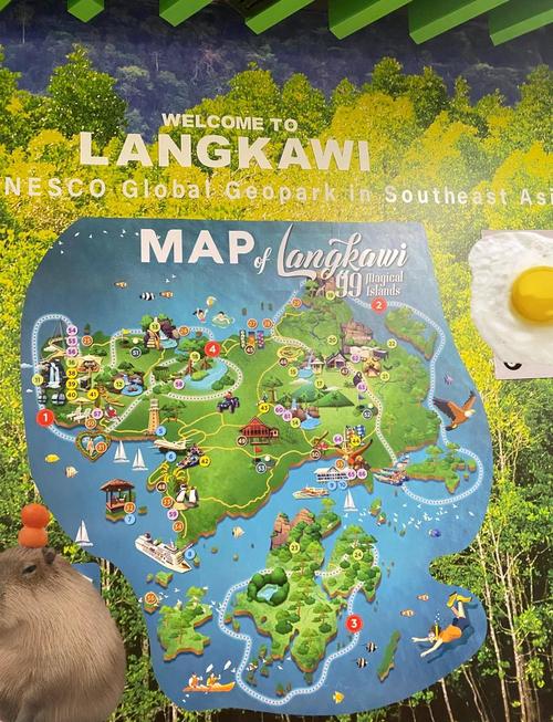 马来西亚攻略旅游