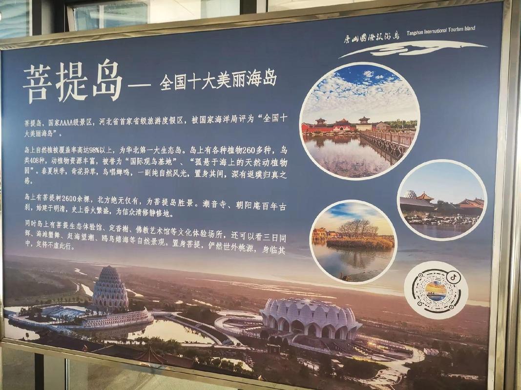 菩提岛旅游攻略自驾游路线